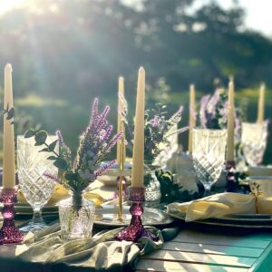 Garden party table spread with lens flare