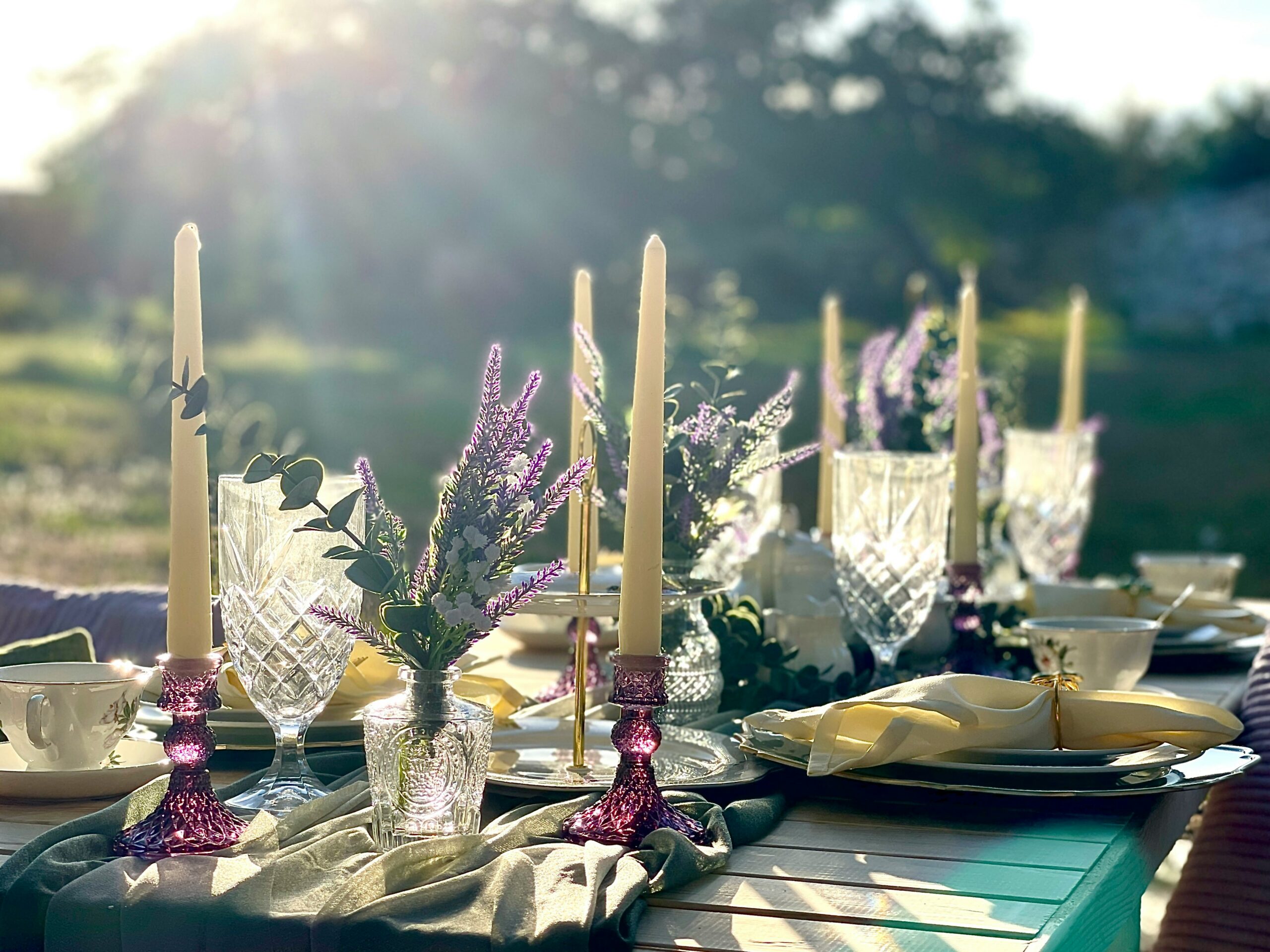 Garden party table spread with lens flare