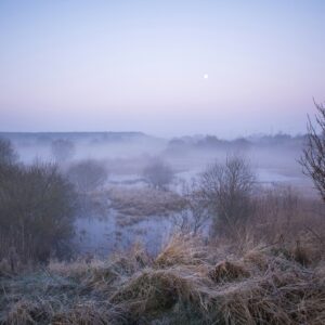 Marsh landscape in a blue haze